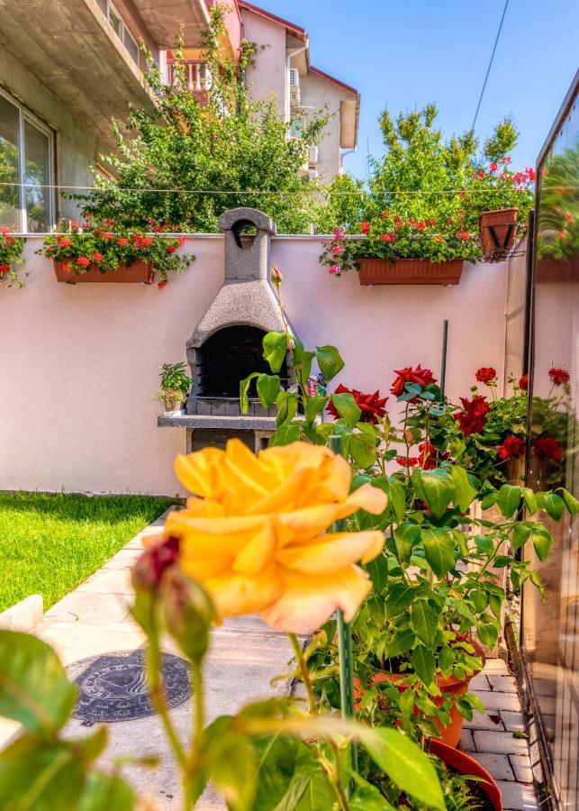 ホテル Casa Helena エフォリエ・ノルド エクステリア 写真
